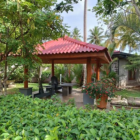 Avalon Village Resort Induruwa Kültér fotó