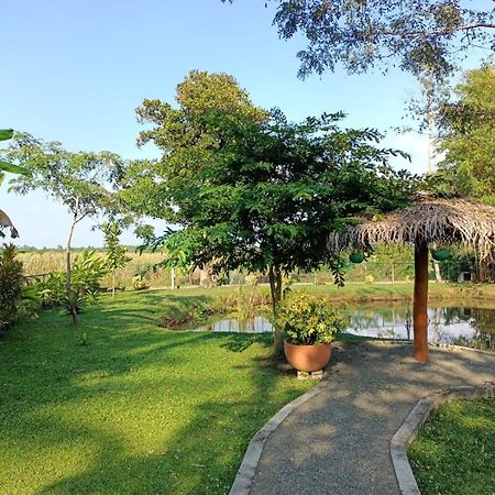 Avalon Village Resort Induruwa Kültér fotó