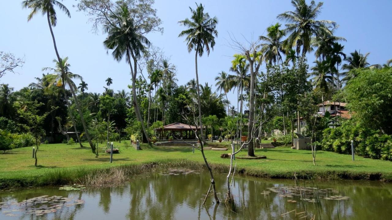 Avalon Village Resort Induruwa Kültér fotó