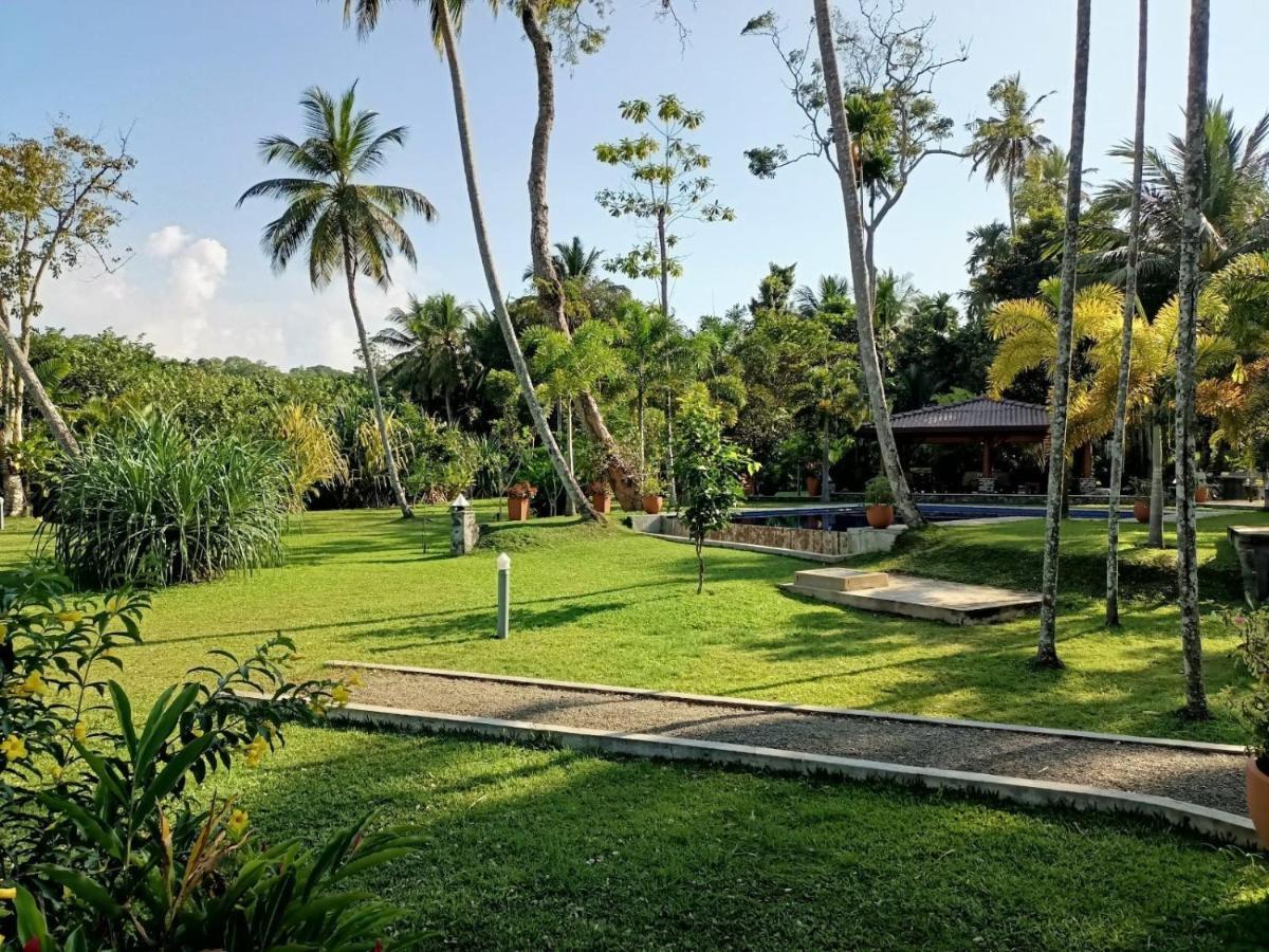 Avalon Village Resort Induruwa Kültér fotó