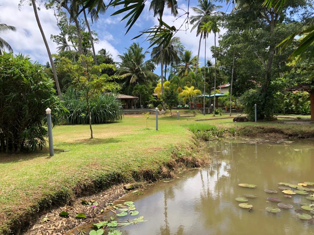 Avalon Village Resort Induruwa Kültér fotó