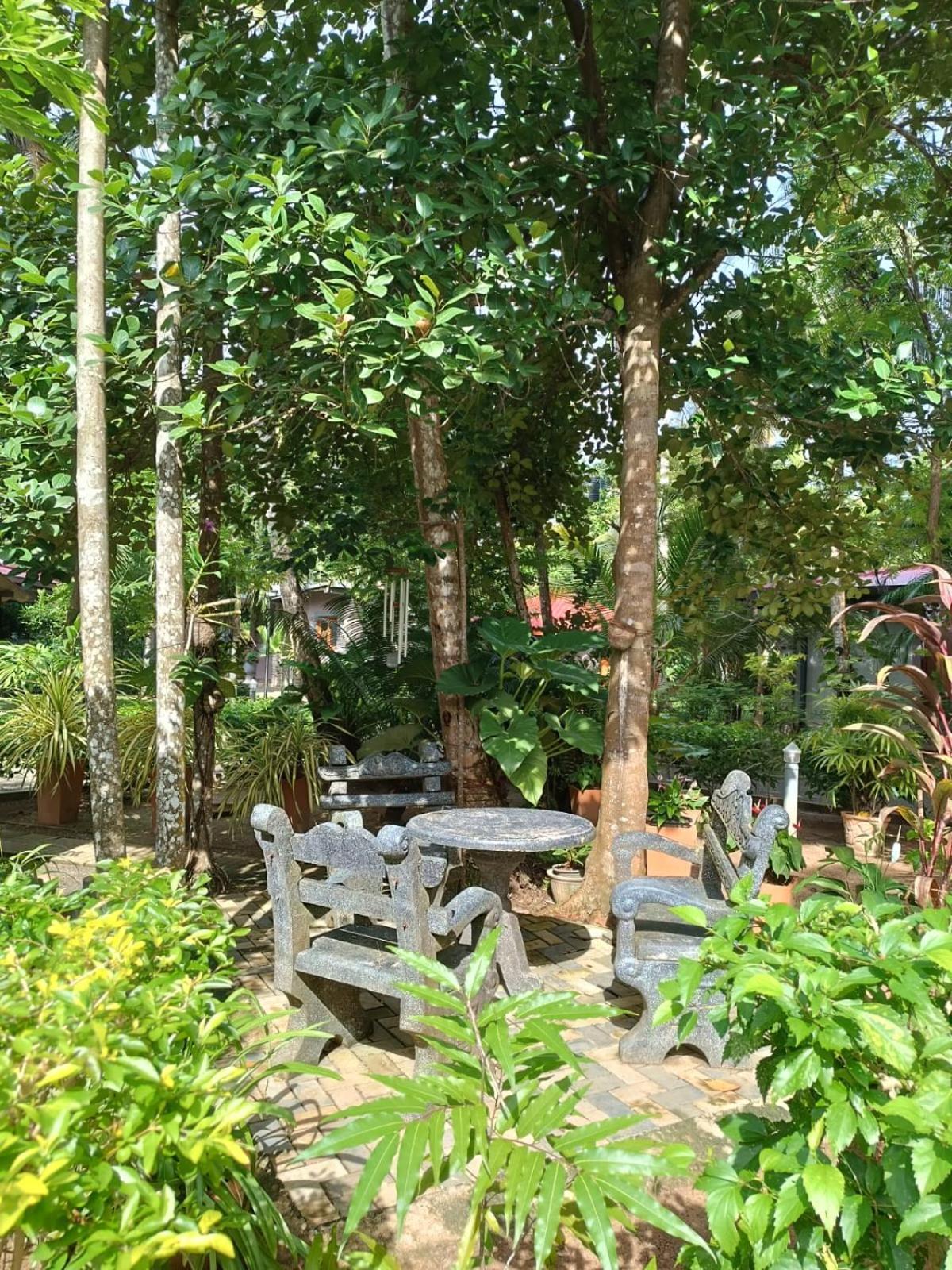 Avalon Village Resort Induruwa Kültér fotó