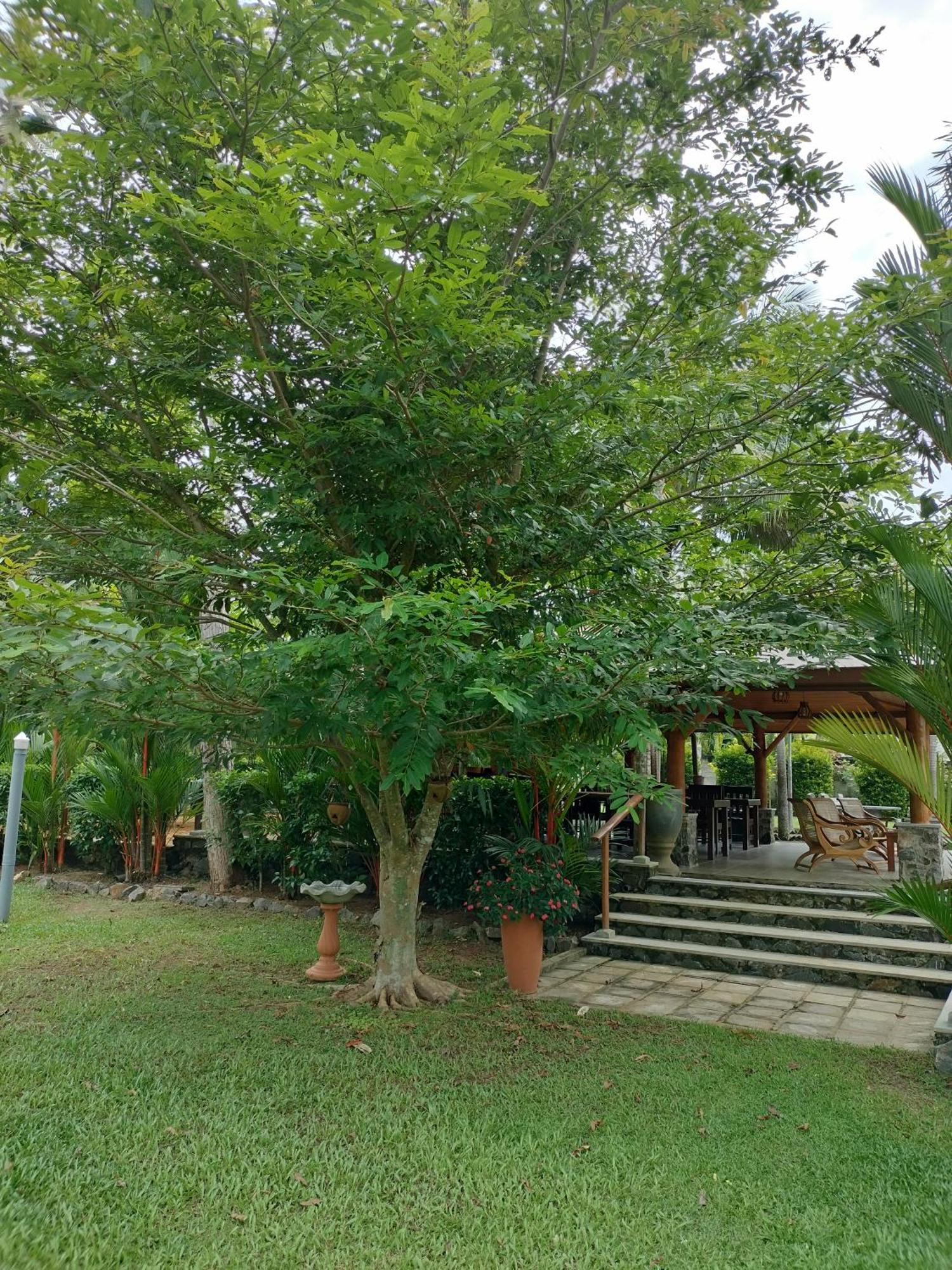 Avalon Village Resort Induruwa Kültér fotó