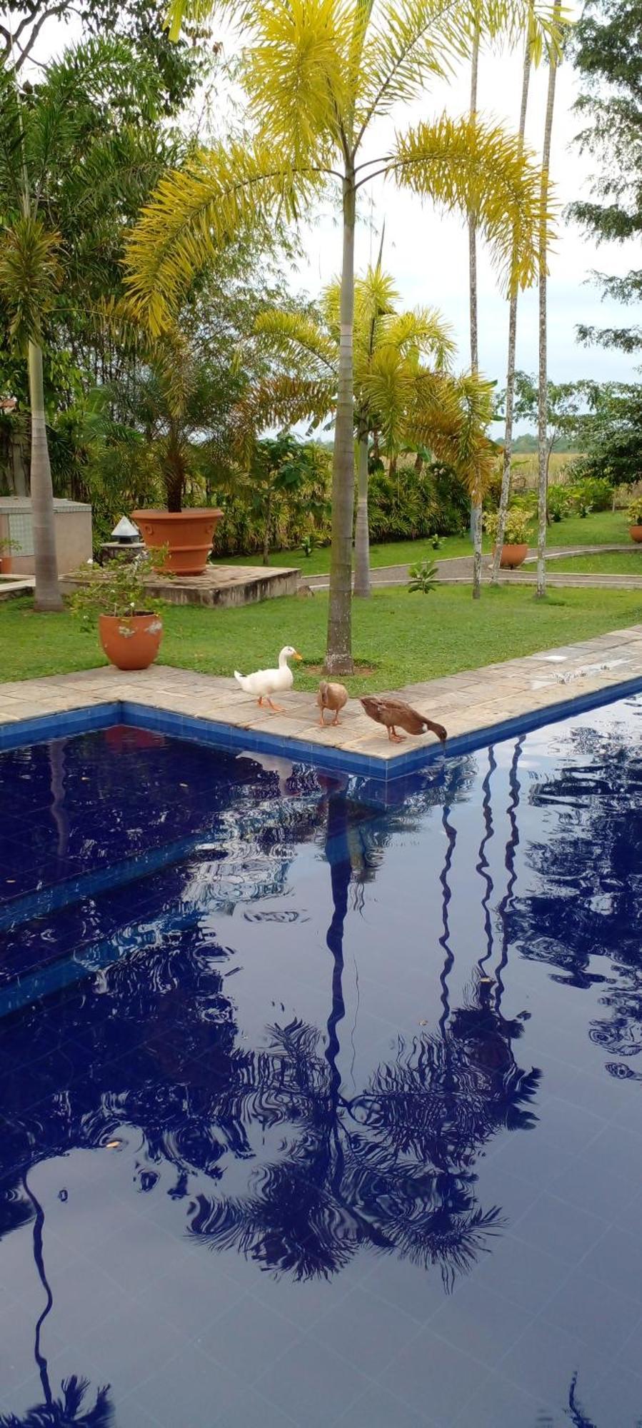 Avalon Village Resort Induruwa Kültér fotó