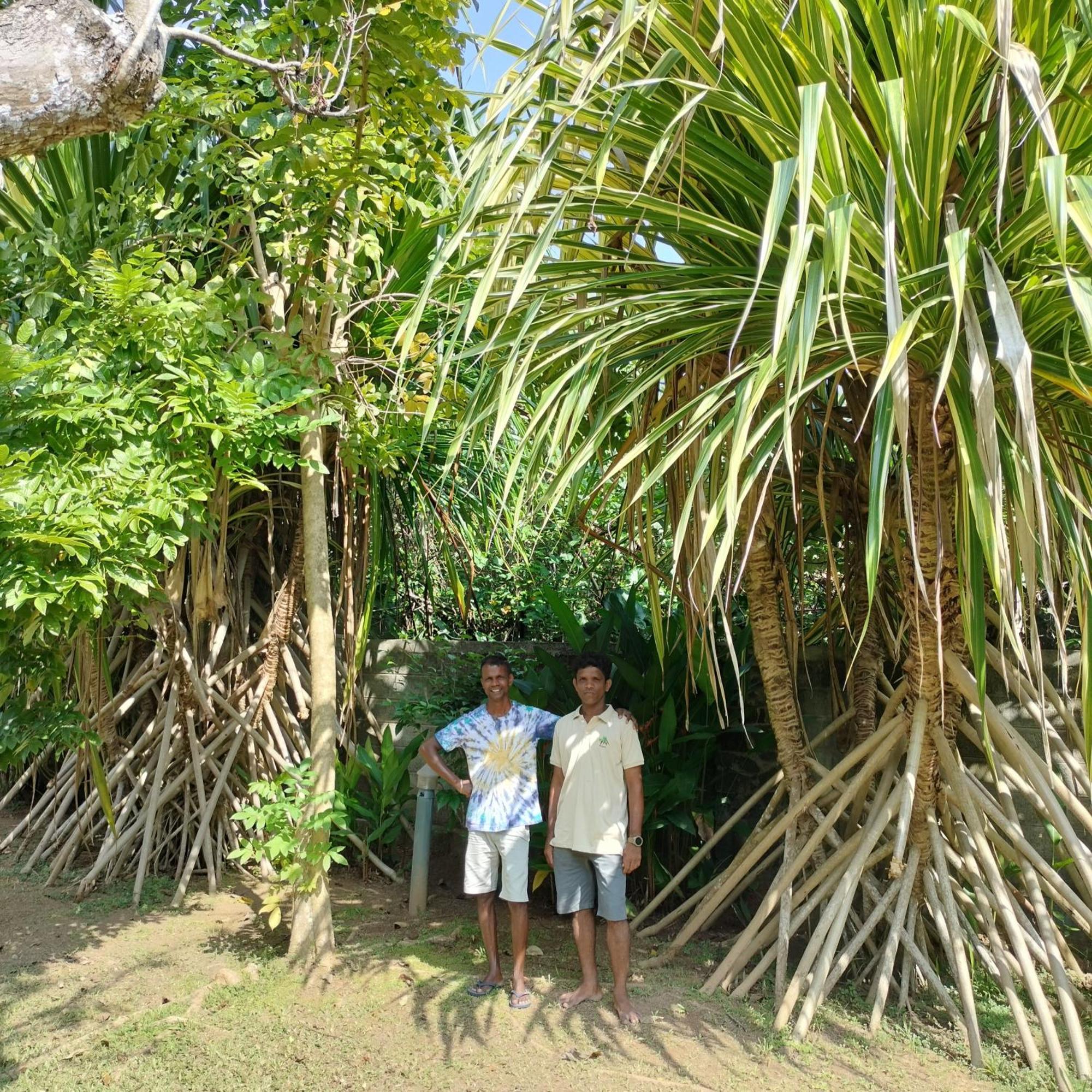 Avalon Village Resort Induruwa Kültér fotó