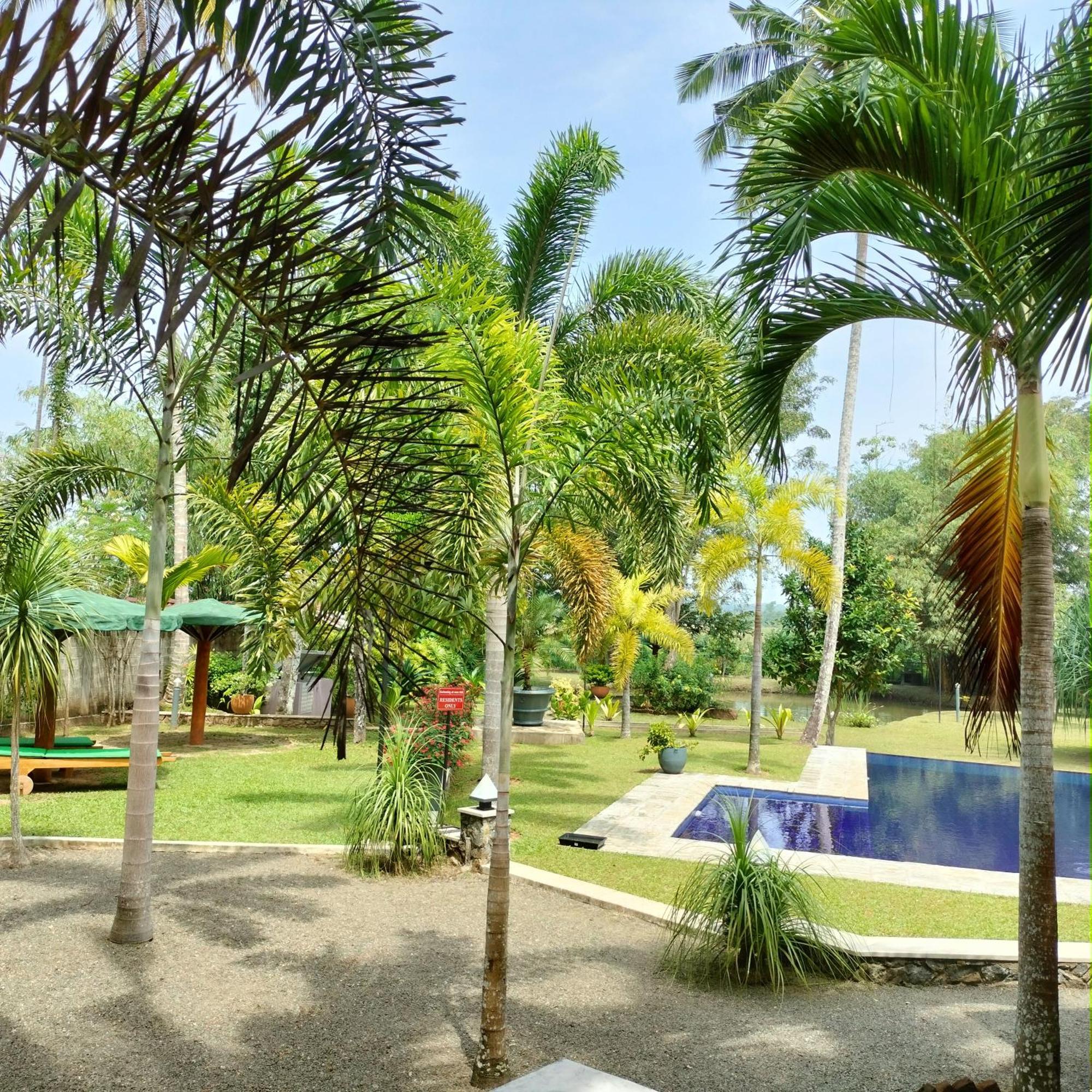 Avalon Village Resort Induruwa Kültér fotó