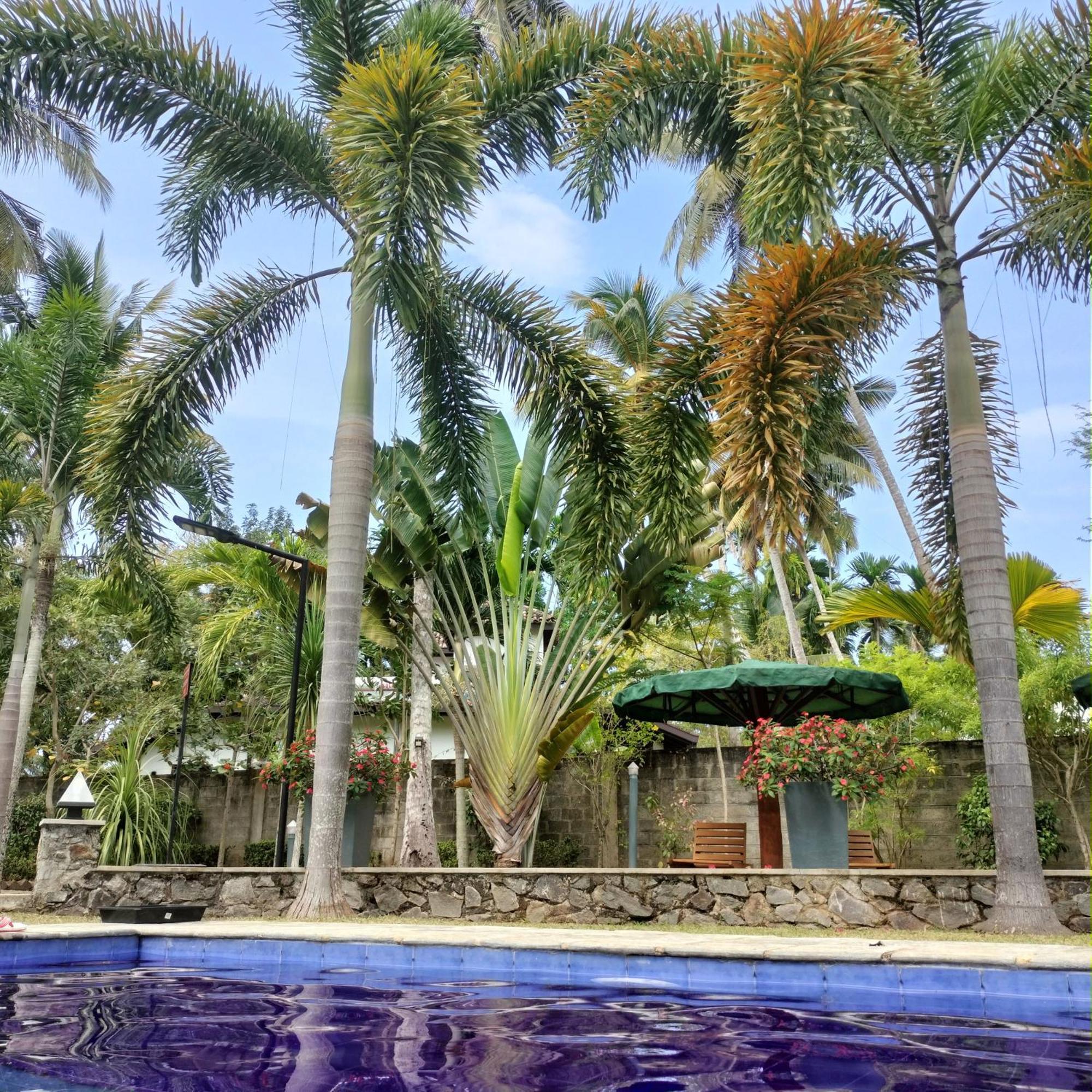 Avalon Village Resort Induruwa Kültér fotó