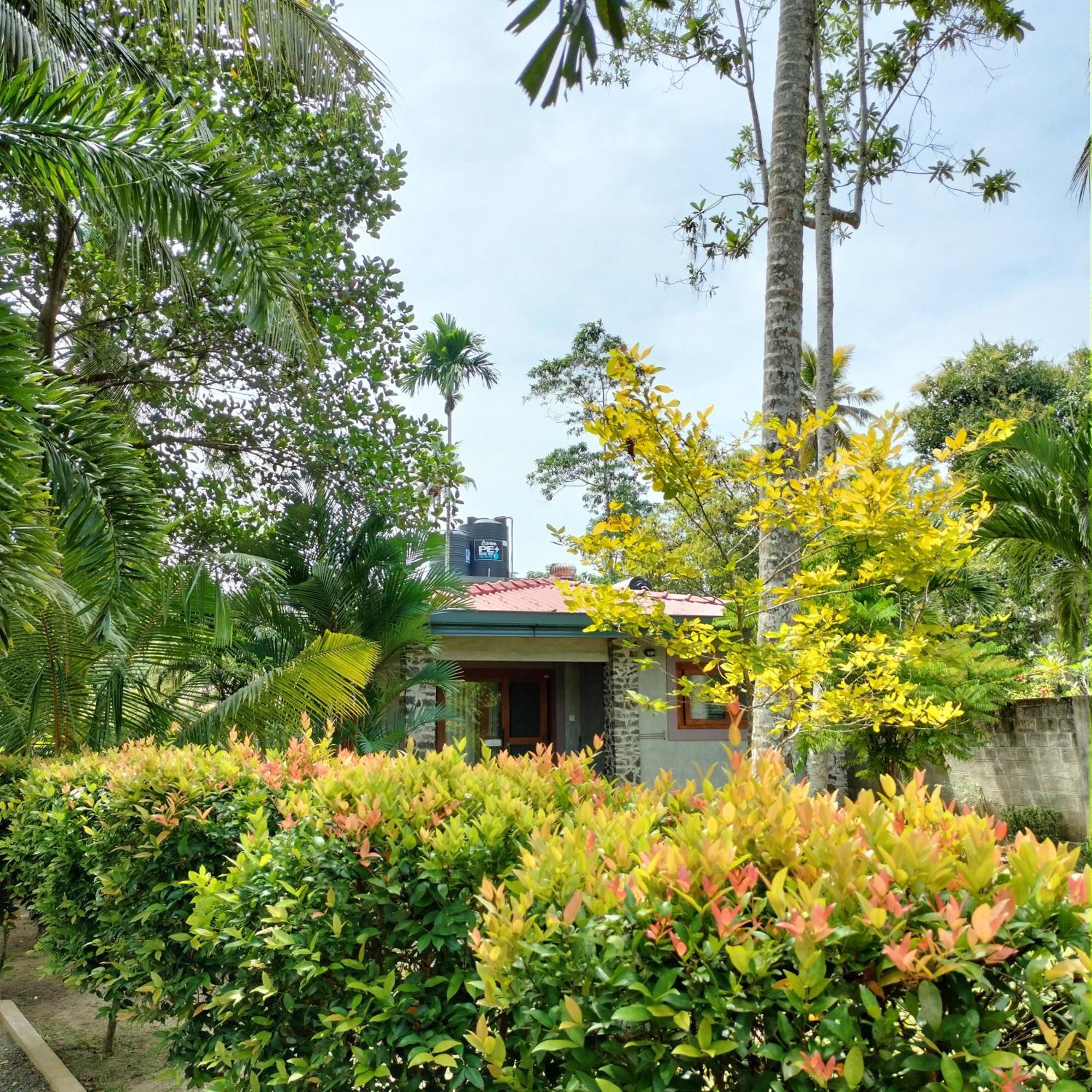 Avalon Village Resort Induruwa Kültér fotó