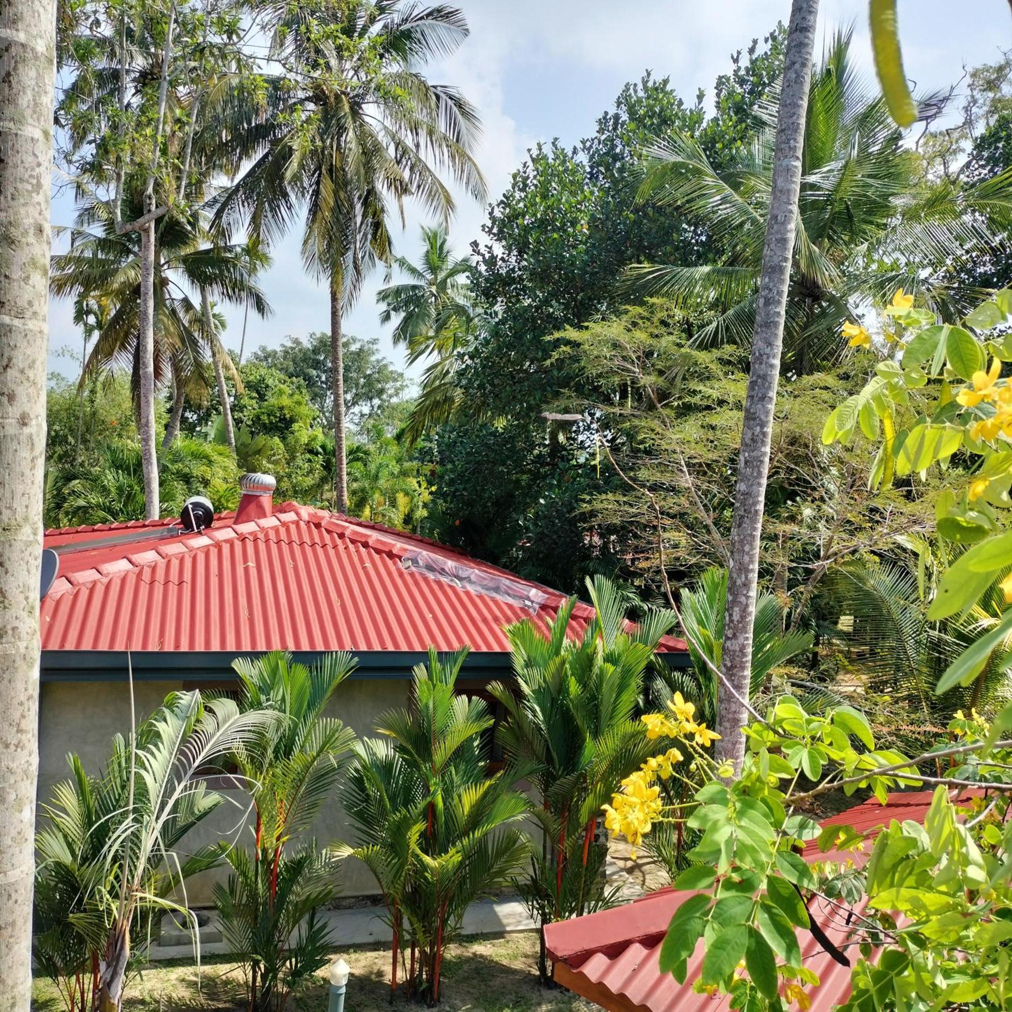 Avalon Village Resort Induruwa Kültér fotó