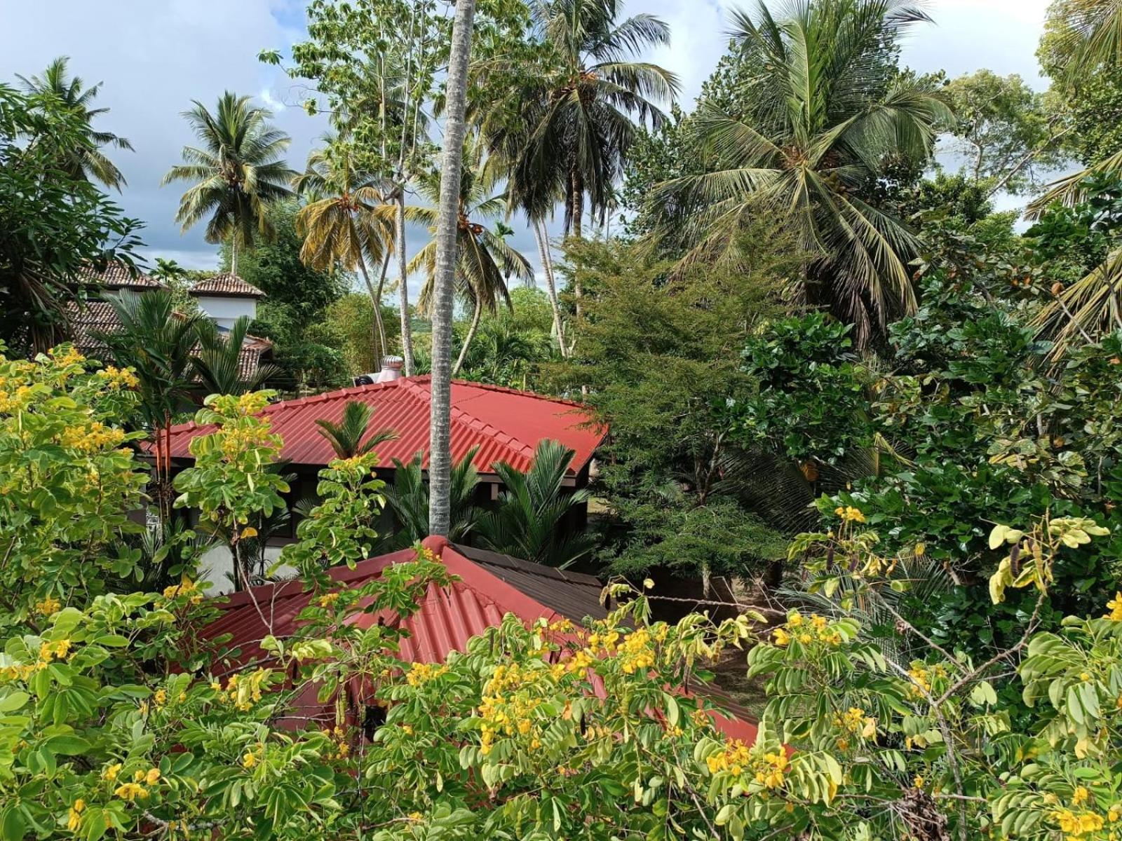 Avalon Village Resort Induruwa Kültér fotó